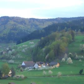 Scharbachhof, hotel v destinaci Glottertal