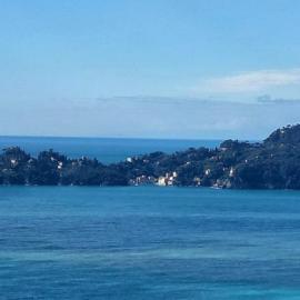Ocean Blue