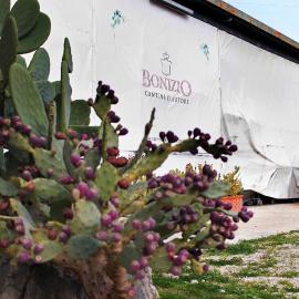 Bio Bonizio nel Borgo, hotel sa Montegrosso