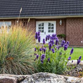 Ferienwohnung Meeressand, hotel di St. Peter-Ording