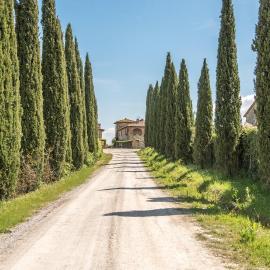Torre di Corsanello