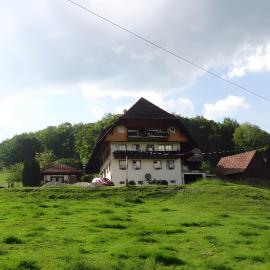 Heizmannshof, hotel di Hofstetten