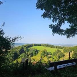 Ferienoase Weitblick