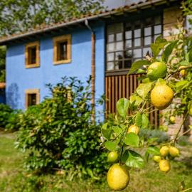 La Quintana de la Foncalada