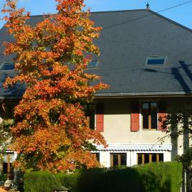 studio Le Cabanon