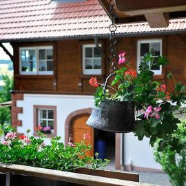 Riehle Hof โรงแรมในเซลอัมฮาร์เมอร์บัค