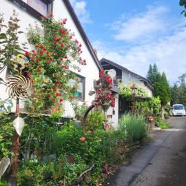 Haus Umbeer, hotel in Schömberg