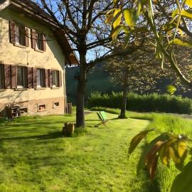 Auszeit im Waldhaus