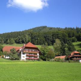 Geigerbauernhof, отель в городе Mühlenbach