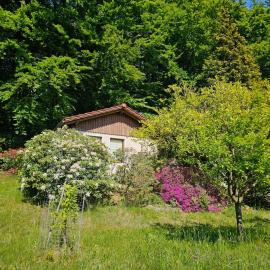 Ferienhaus am Wald mit Südblick