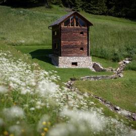 Burgfrieder Mühle