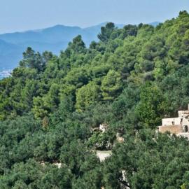Agriturismo Bricco