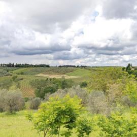 Chianti Un Oasi Di Tranquillità