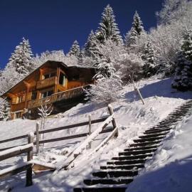 La Rissole - Chalet familial、シャテルのホテル