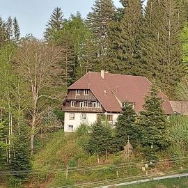 Ferienwohnung Auerhahn