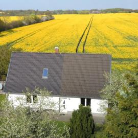 Kleines Haus am Feld, hotel u gradu 'Rehna'