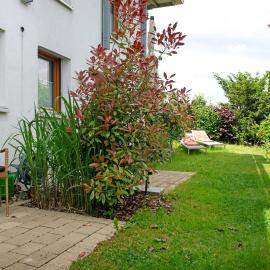 Ferienwohnungen Im Rosengarten, hotel in Bodman-Ludwigshafen
