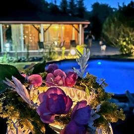 Ohana Boutique Chalet, hotel din Vistisoara