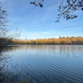 Ahlers am Wald, hotel a Edewecht