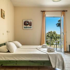 Anemona studio F