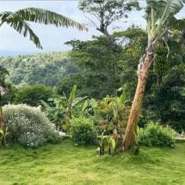 Kilimanjaro Forest Lodge And Camping Site