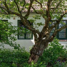 Haus Vogelkiek