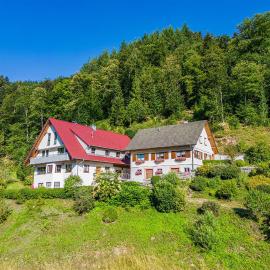 Haus Niedermättle, hotel v destinaci Oppenau