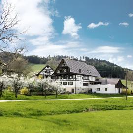 Ferienwohnungen Danner, hotel u gradu 'Oberkirch'