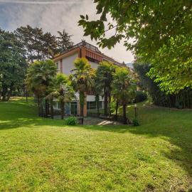 Modern Park Appartement