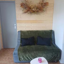 Appartement entièrement rénové proche plage Maillol, hotel in Saint-Cyprien-Plage