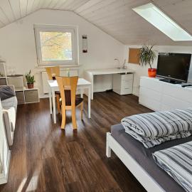 Ferienwohnung Haldenblick