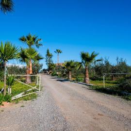 El Paraíso Del Olivar, hotel in Bollullos de la Mitación