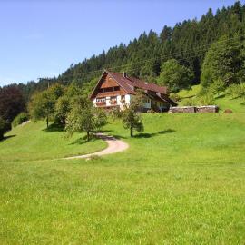 Vogtshof