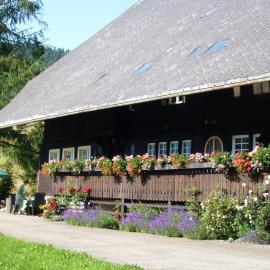 Kammbühlhof