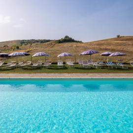 Ginestra
