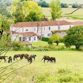 2 Bedroom Gîte on Bidallon manor estate