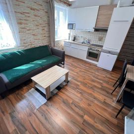 Apartment Hlinská