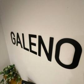 Galeno, en el centro de Cangas de Onís