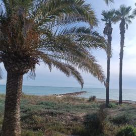 Fina beach