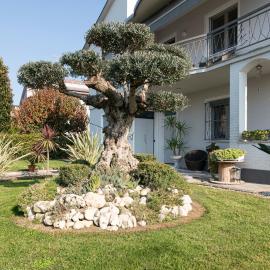 L'Ulivo bed and breakfast