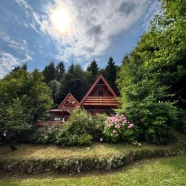 Twin Forest, riverside cabin, khách sạn ở Brod na Kupi