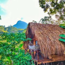 LaWayra Finca & Retreat, hotel en Fredonia