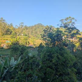 Luxforge home, khách sạn ở Bandarawela