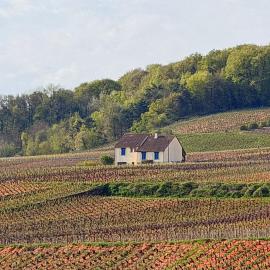 EntreVignes Gîte 6 personnes au cœur des vignes de Champagne
