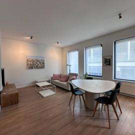 Bright, Spacious and Cozy Apartment Near the MAS