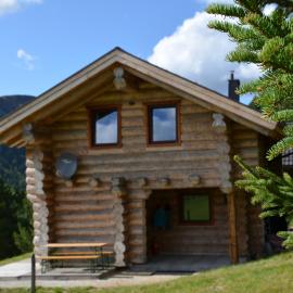 Ferner Alm, hotel em Thomatal