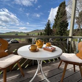 Ferienwohnung 1 - Residenz Schauinsland im Wanderparadies an Skilift & Loipe Panoramablick, Sauna im Haus