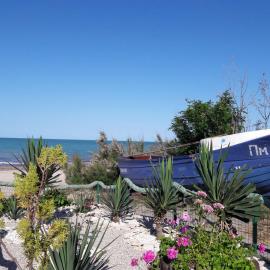 Guesthouse Popovi, hotel in Pomorie