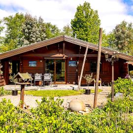 Quiet wooden cottage on the edge of the forest with a terrace, hotel in IJhorst