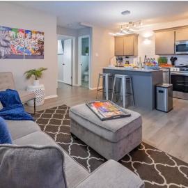 Beautiful Contemporary Suite #12